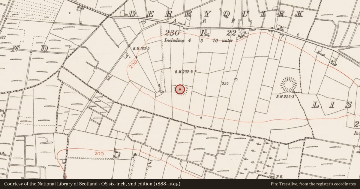 Ordnance Survey six-inch map, 2nd edition (1888–1915) covering the location of Ringfort - rath, Derryquirk, County Roscommon, with a pin at the register's coordinates