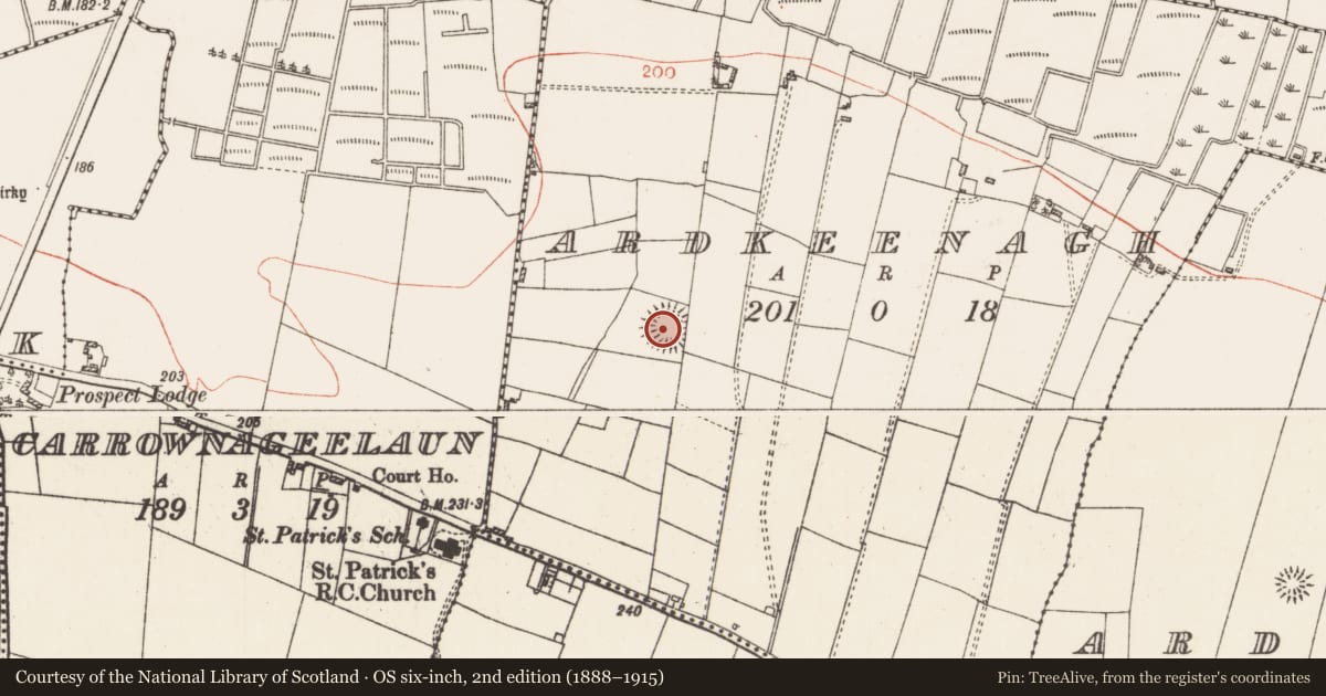 Ordnance Survey six-inch map, 2nd edition (1888–1915) covering the location of Ringfort - rath, Ardkeenagh, County Roscommon, with a pin at the register's coordinates