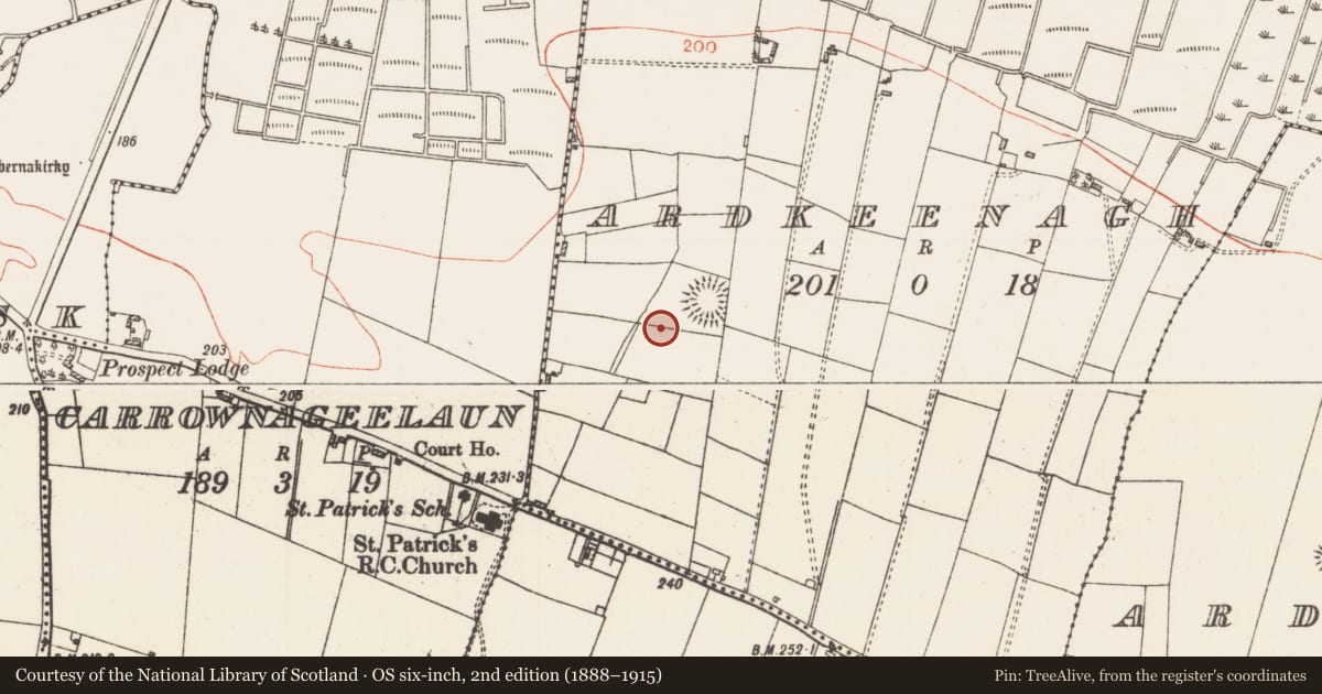 Ordnance Survey six-inch map, 2nd edition (1888–1915) covering the location of Field boundary, Ardkeenagh, County Roscommon, with a pin at the register's coordinates