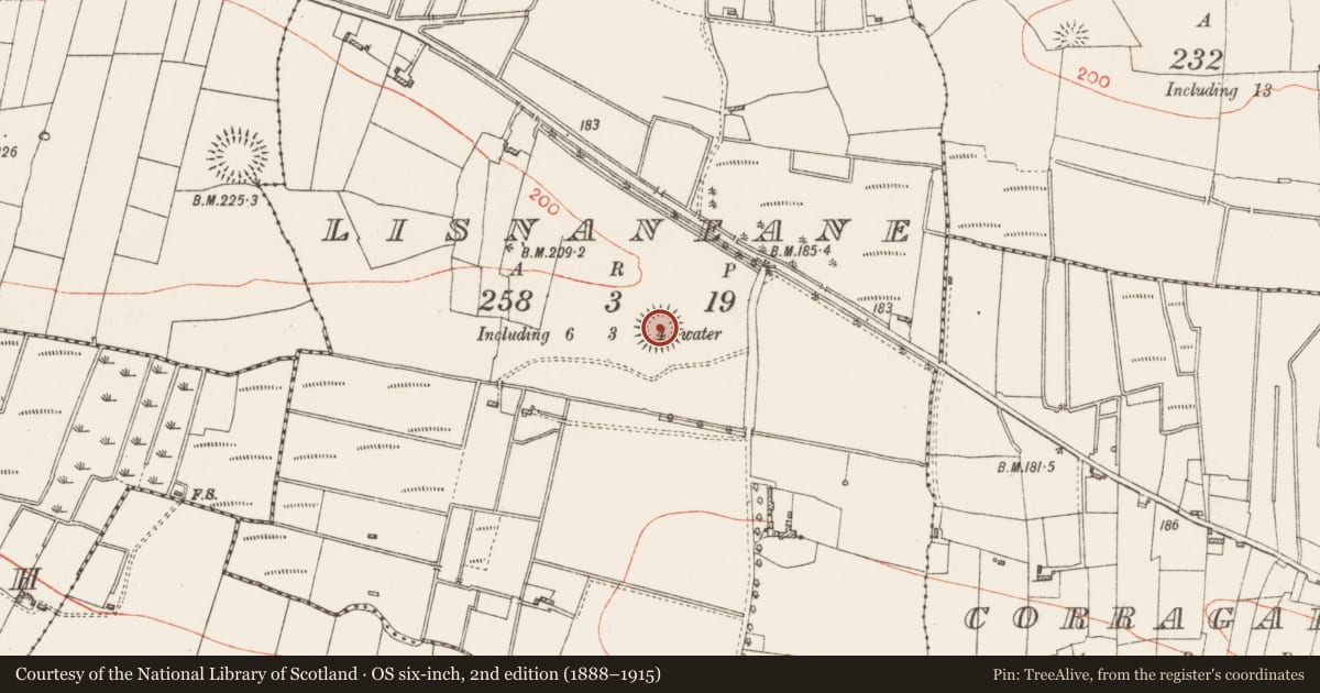 Ordnance Survey six-inch map, 2nd edition (1888–1915) covering the location of Ringfort - rath, Lisnaneane, County Roscommon, with a pin at the register's coordinates