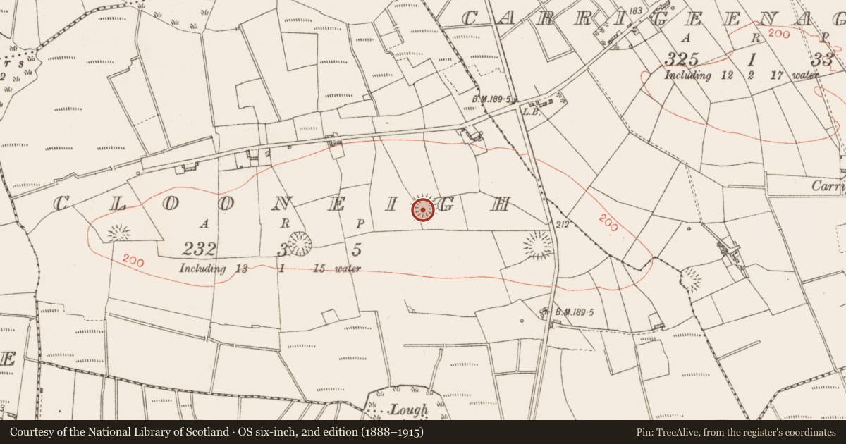 Ordnance Survey six-inch map, 2nd edition (1888–1915) covering the location of Ringfort - rath, Clooneigh, County Roscommon, with a pin at the register's coordinates