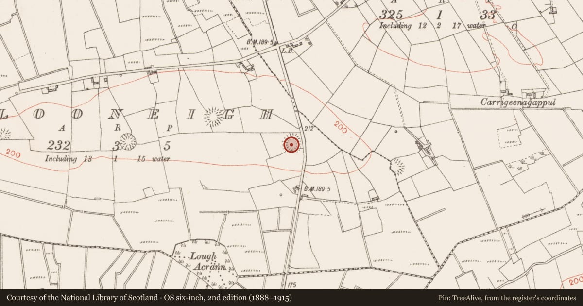 Ordnance Survey six-inch map, 2nd edition (1888–1915) covering the location of Ringfort - rath, Clooneigh, County Roscommon, with a pin at the register's coordinates