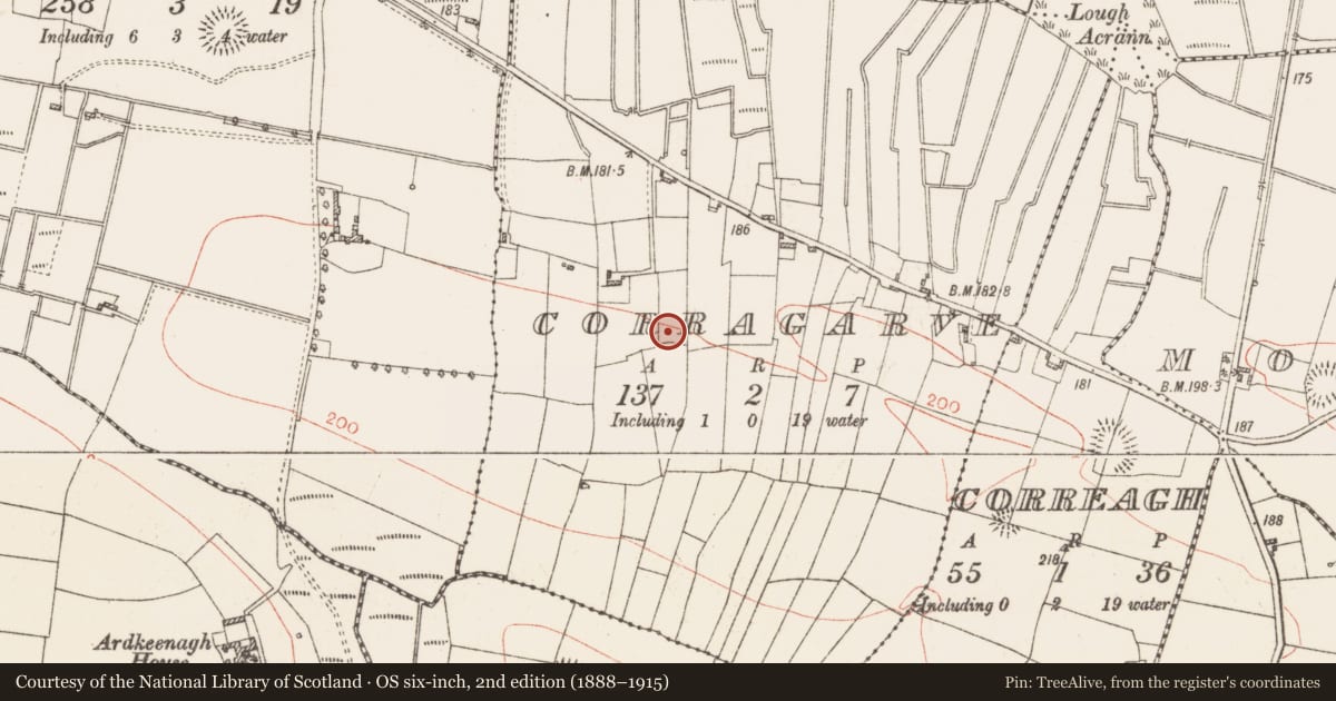 Ordnance Survey six-inch map, 2nd edition (1888–1915) covering the location of Ringfort - rath, Corragarve, County Roscommon, with a pin at the register's coordinates