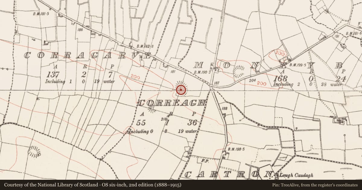Ordnance Survey six-inch map, 2nd edition (1888–1915) covering the location of Ringfort - rath, Correagh, County Roscommon, with a pin at the register's coordinates