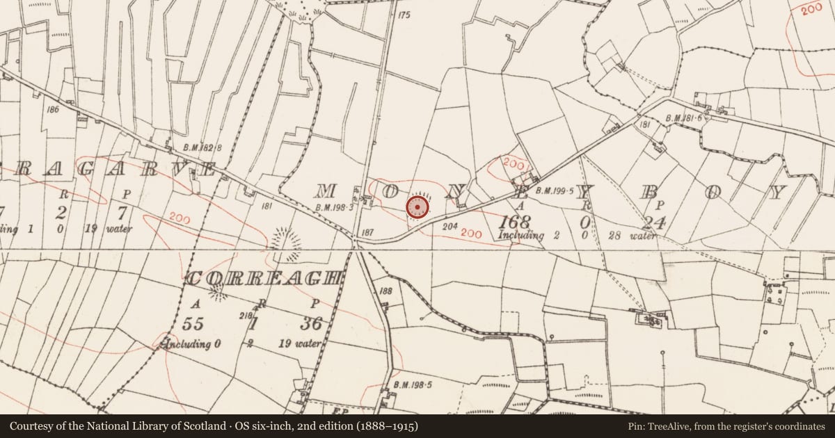 Ordnance Survey six-inch map, 2nd edition (1888–1915) covering the location of Ringfort - rath, Moneyboy, County Roscommon, with a pin at the register's coordinates