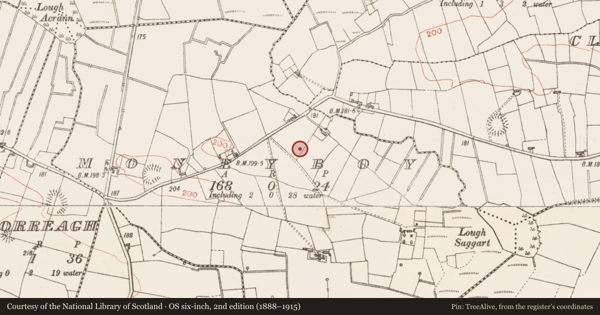 Ordnance Survey six-inch map, 2nd edition (1888–1915) covering the location of Ringfort - rath, Moneyboy, County Roscommon, with a pin at the register's coordinates