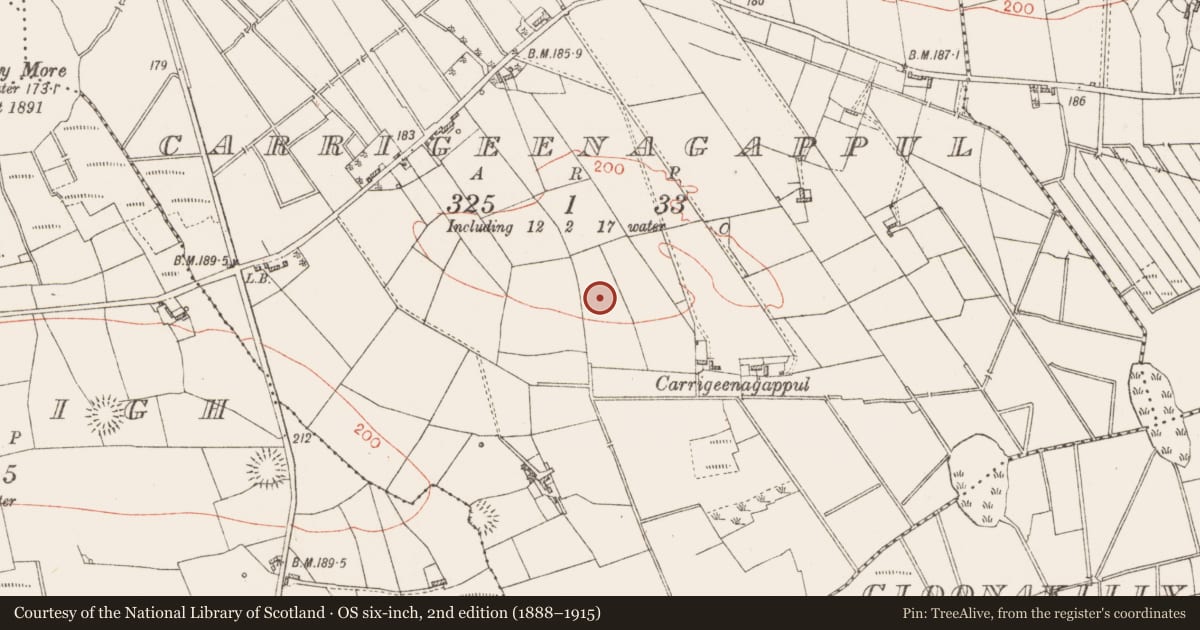 Ordnance Survey six-inch map, 2nd edition (1888–1915) covering the location of Ringfort - rath, Carrigeenagappul, County Roscommon, with a pin at the register's coordinates