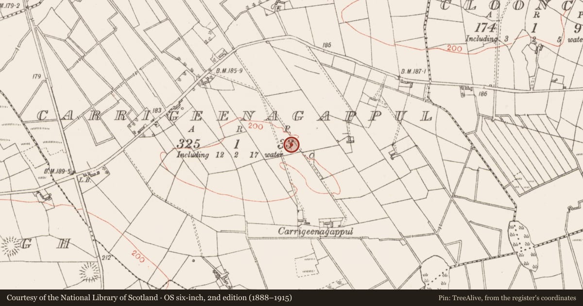 Ordnance Survey six-inch map, 2nd edition (1888–1915) covering the location of Enclosure - large enclosure, Carrigeenagappul, County Roscommon, with a pin at the register's coordinates