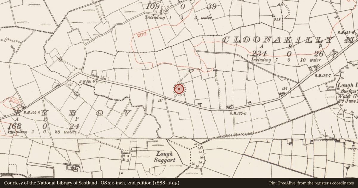 Ordnance Survey six-inch map, 2nd edition (1888–1915) covering the location of Ringfort - rath, Cloonakilly More, County Roscommon, with a pin at the register's coordinates