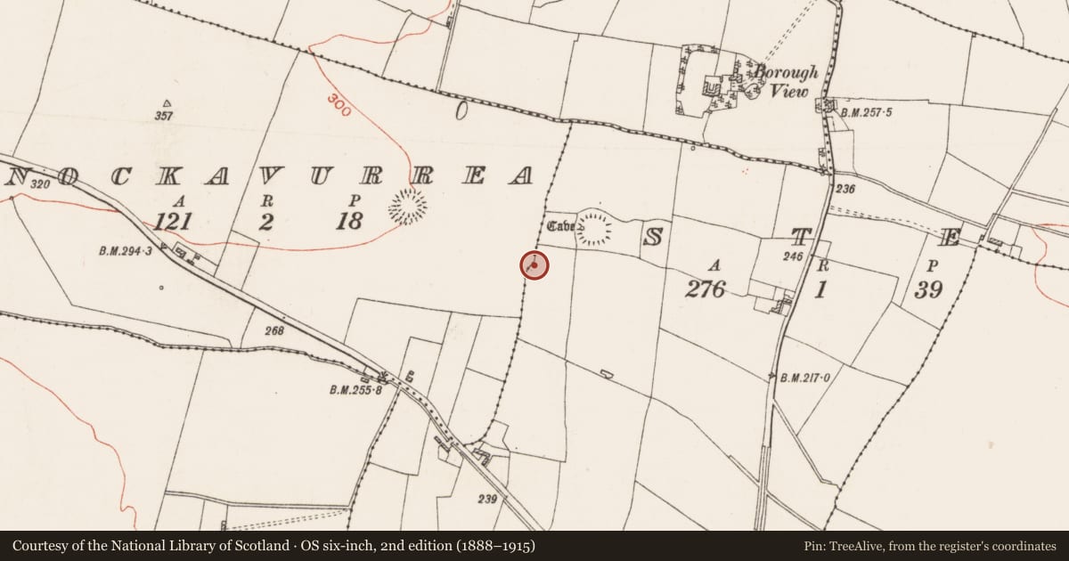 Ordnance Survey six-inch map, 2nd edition (1888–1915) covering the location of Standing stone, Steill, County Roscommon, with a pin at the register's coordinates