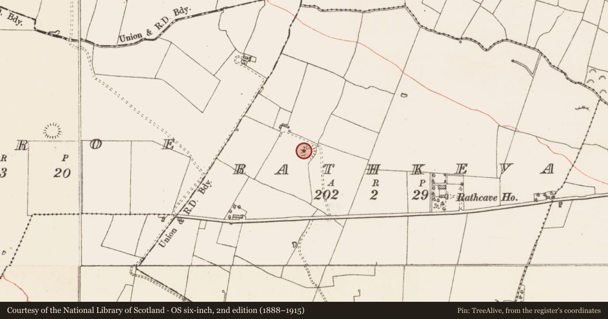 Ordnance Survey six-inch map, 2nd edition (1888–1915) covering the location of Barrow - ring-barrow, Rathkeva, County Roscommon, with a pin at the register's coordinates