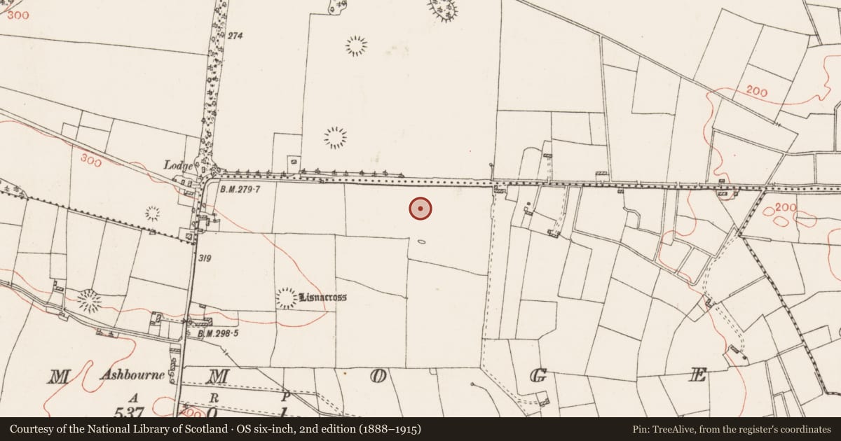 Ordnance Survey six-inch map, 2nd edition (1888–1915) covering the location of Pitfield, Cammoge, County Roscommon, with a pin at the register's coordinates