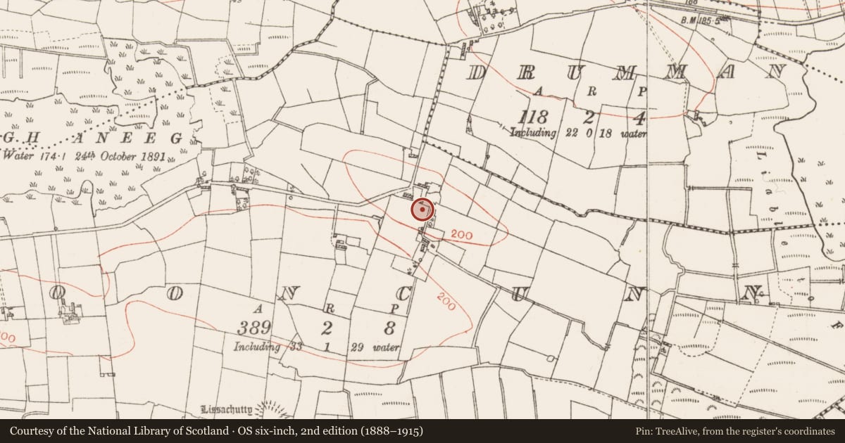 Ordnance Survey six-inch map, 2nd edition (1888–1915) covering the location of Burial, Clooncunny, County Roscommon, with a pin at the register's coordinates