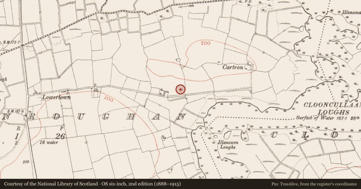 Ordnance Survey six-inch map, 2nd edition (1888–1915) covering the location of Church, Cloonroughan, County Roscommon, with a pin at the register's coordinates