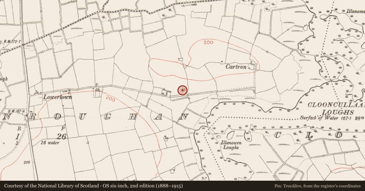Ordnance Survey six-inch map, 2nd edition (1888–1915) covering the location of Burial, Cloonroughan, County Roscommon, with a pin at the register's coordinates