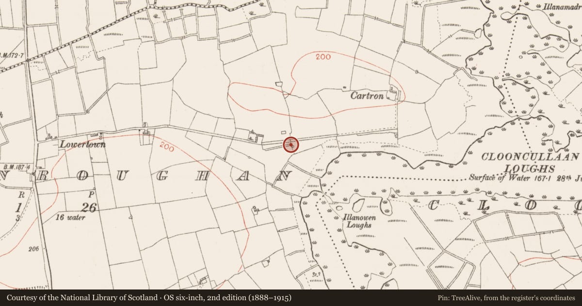Ordnance Survey six-inch map, 2nd edition (1888–1915) covering the location of Ritual site - holy well, Cloonroughan, County Roscommon, with a pin at the register's coordinates