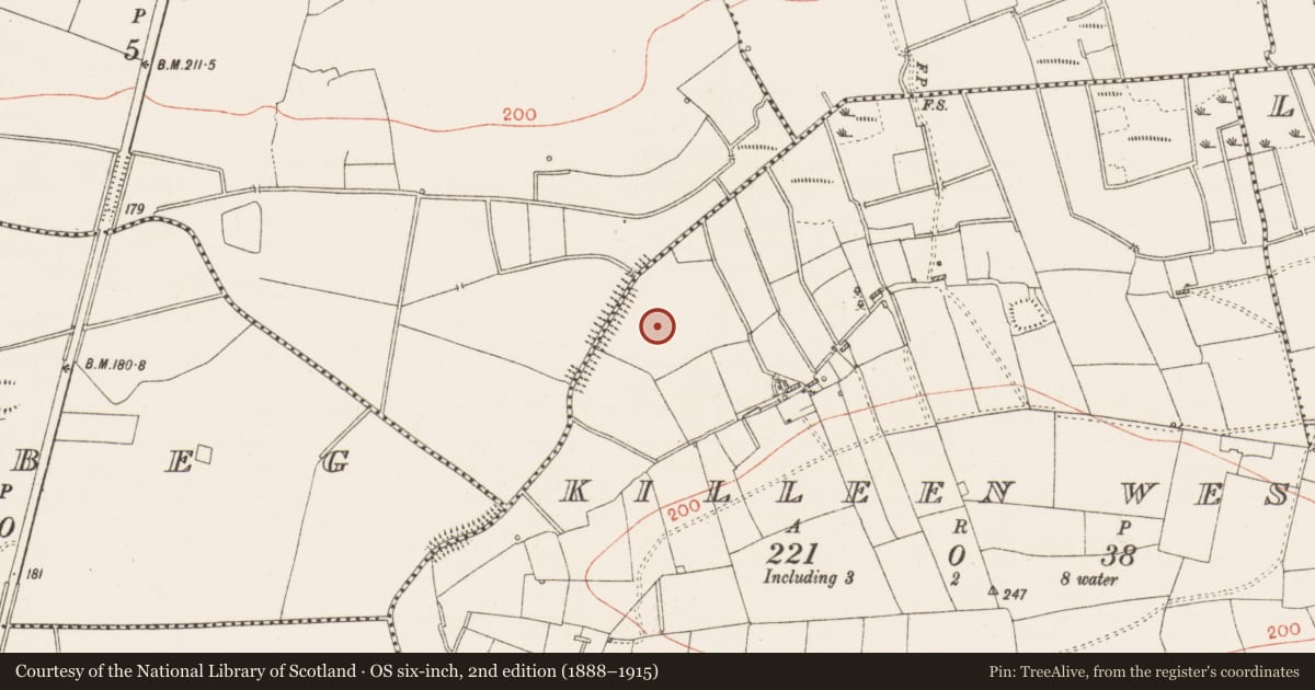 Ordnance Survey six-inch map, 2nd edition (1888–1915) covering the location of Mound, Killeen West, County Roscommon, with a pin at the register's coordinates