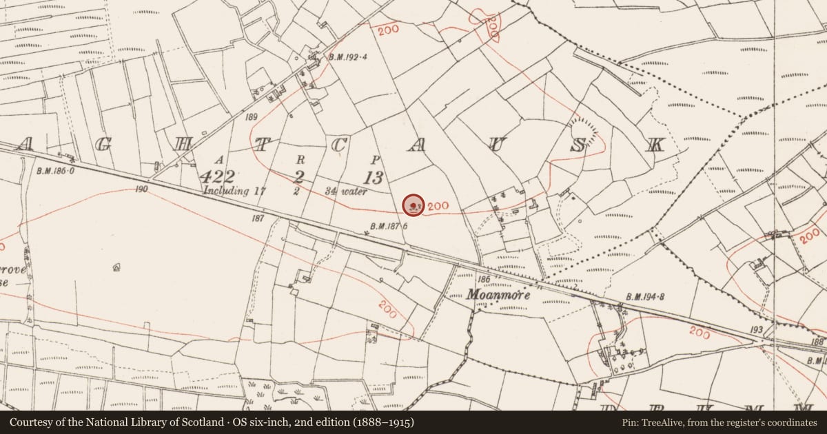 Ordnance Survey six-inch map, 2nd edition (1888–1915) covering the location of Church, Laghtcausk, County Roscommon, with a pin at the register's coordinates