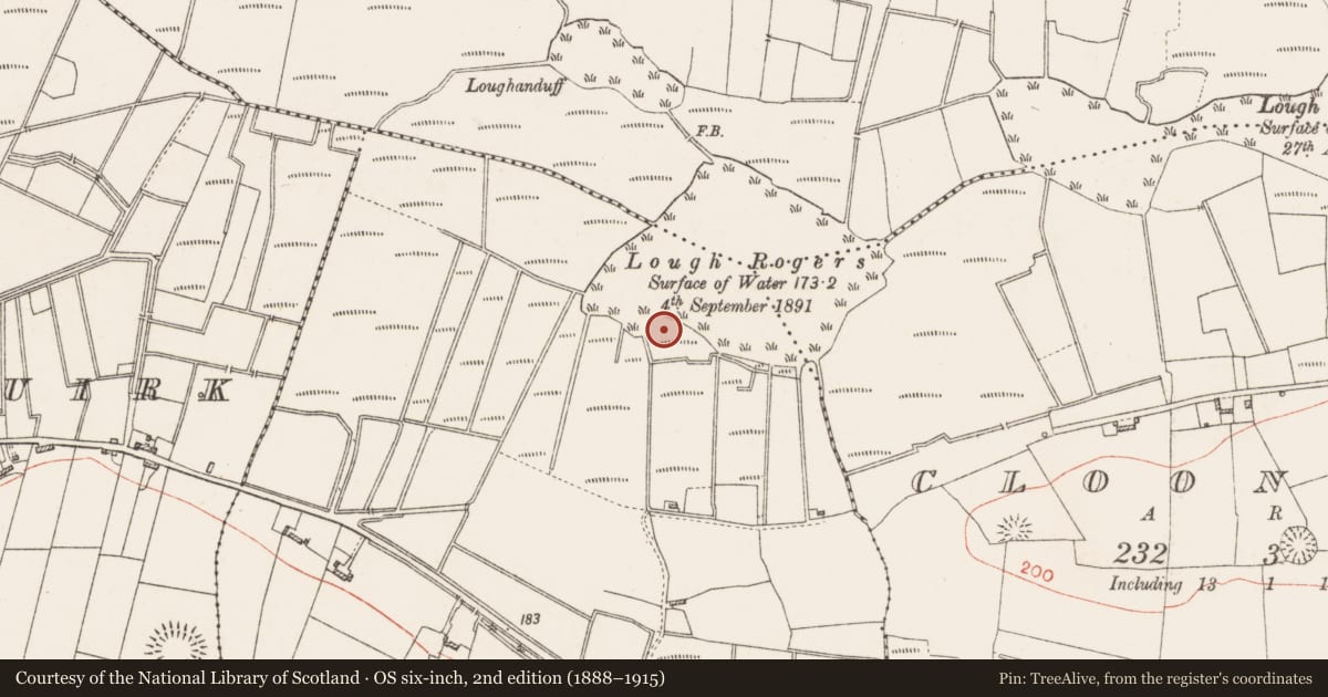 Ordnance Survey six-inch map, 2nd edition (1888–1915) covering the location of Mound, Lisnaneane, County Roscommon, with a pin at the register's coordinates