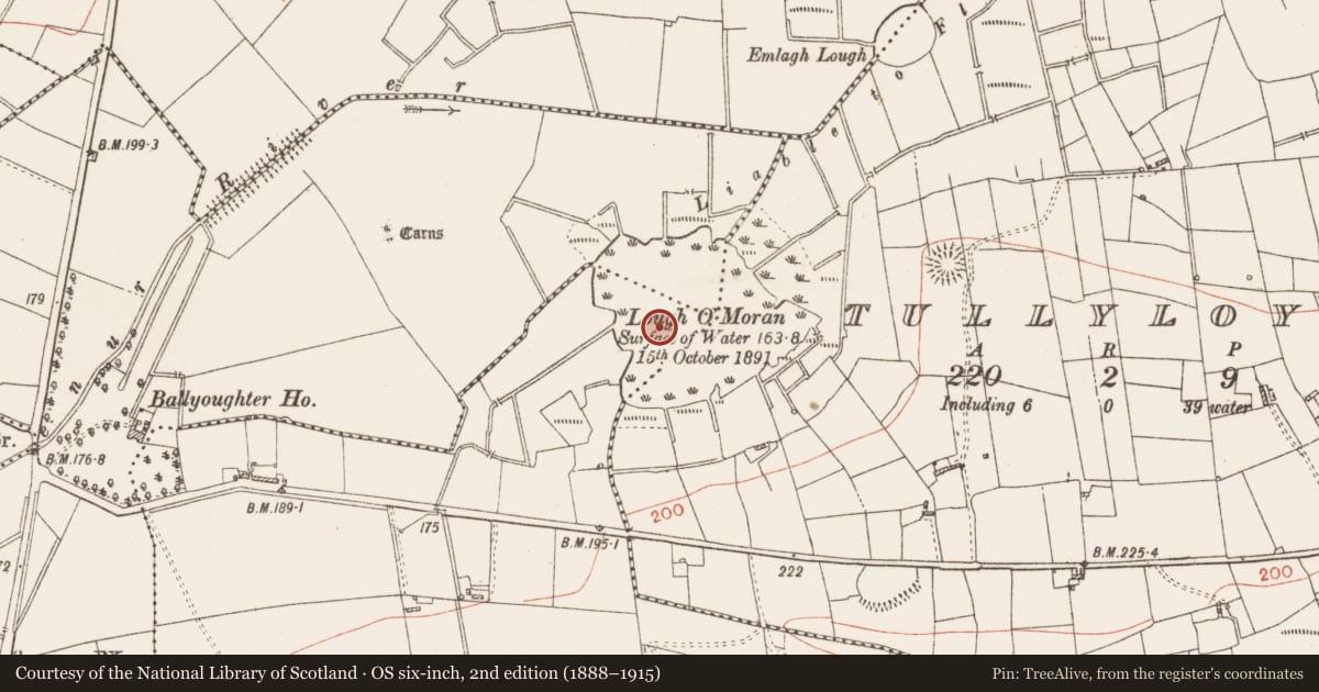 Ordnance Survey six-inch map, 2nd edition (1888–1915) covering the location of Crannog, Killeen East, County Roscommon, with a pin at the register's coordinates