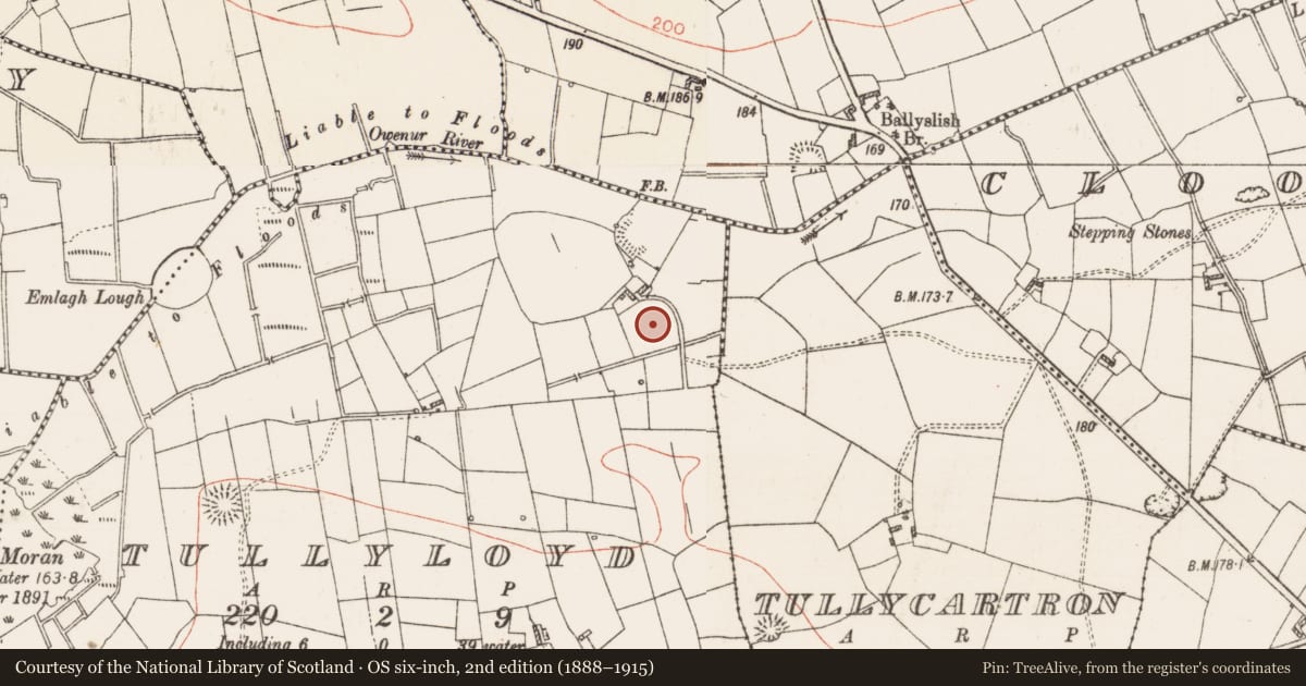 Ordnance Survey six-inch map, 2nd edition (1888–1915) covering the location of Fulacht fia, Tullyloyd, County Roscommon, with a pin at the register's coordinates
