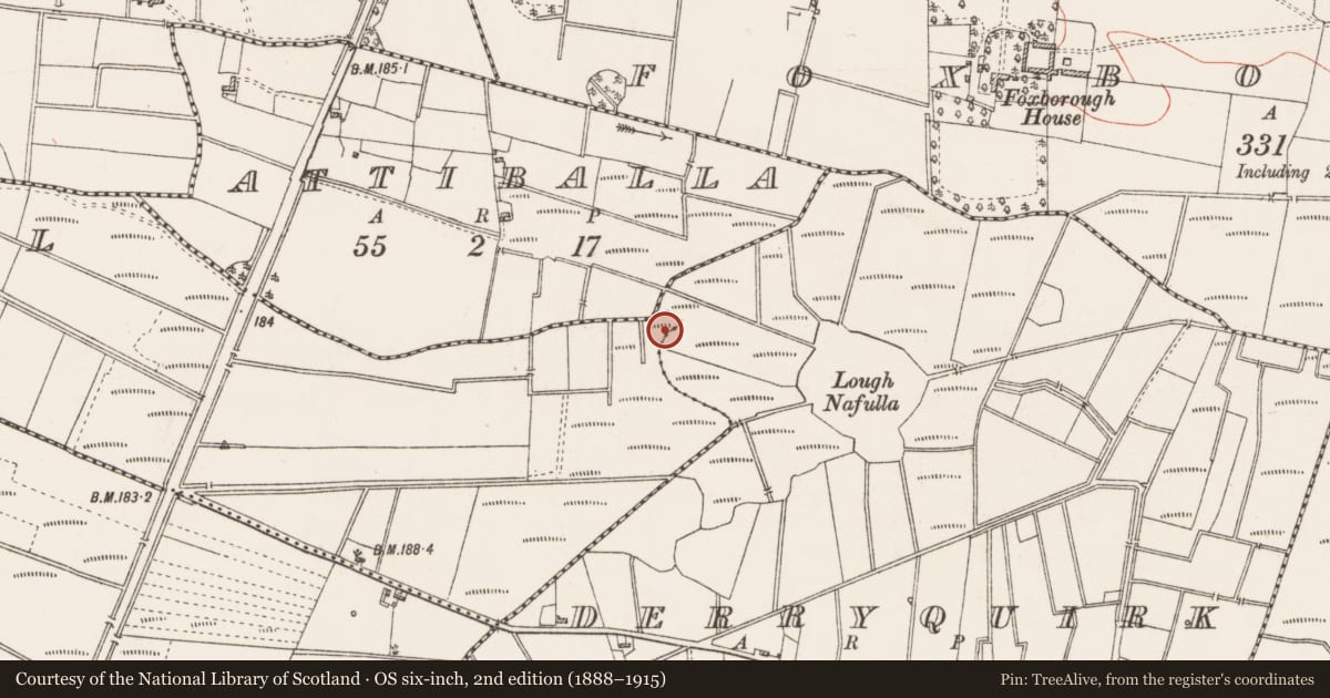 Ordnance Survey six-inch map, 2nd edition (1888–1915) covering the location of Crannog, Steill, County Roscommon, with a pin at the register's coordinates