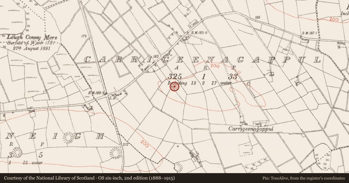 Ordnance Survey six-inch map, 2nd edition (1888–1915) covering the location of Ringfort - rath, Carrigeenagappul, County Roscommon, with a pin at the register's coordinates