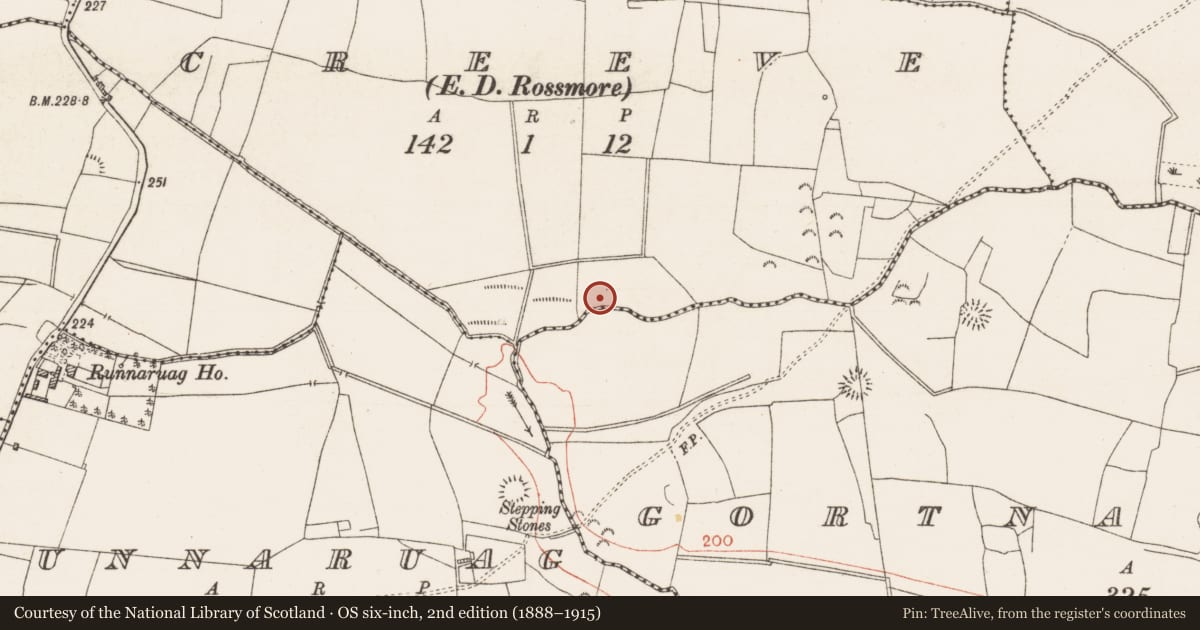 Ordnance Survey six-inch map, 2nd edition (1888–1915) covering the location of Fulacht fia, Creeve, County Roscommon, with a pin at the register's coordinates