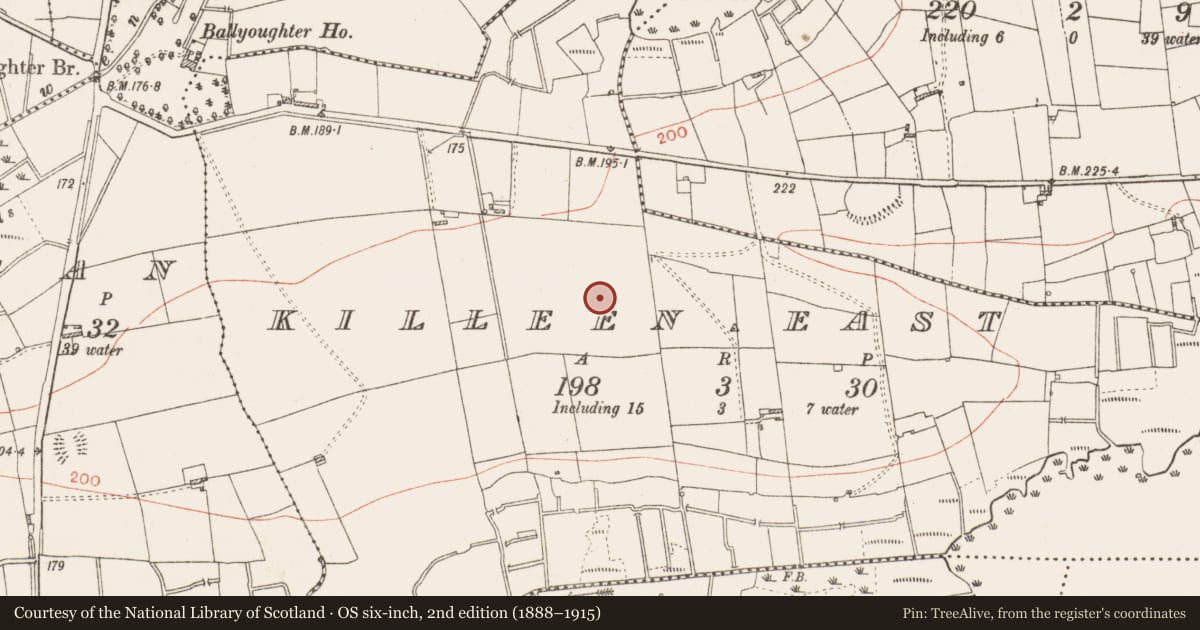 Ordnance Survey six-inch map, 2nd edition (1888–1915) covering the location of Ringfort - rath, Killeen East, County Roscommon, with a pin at the register's coordinates