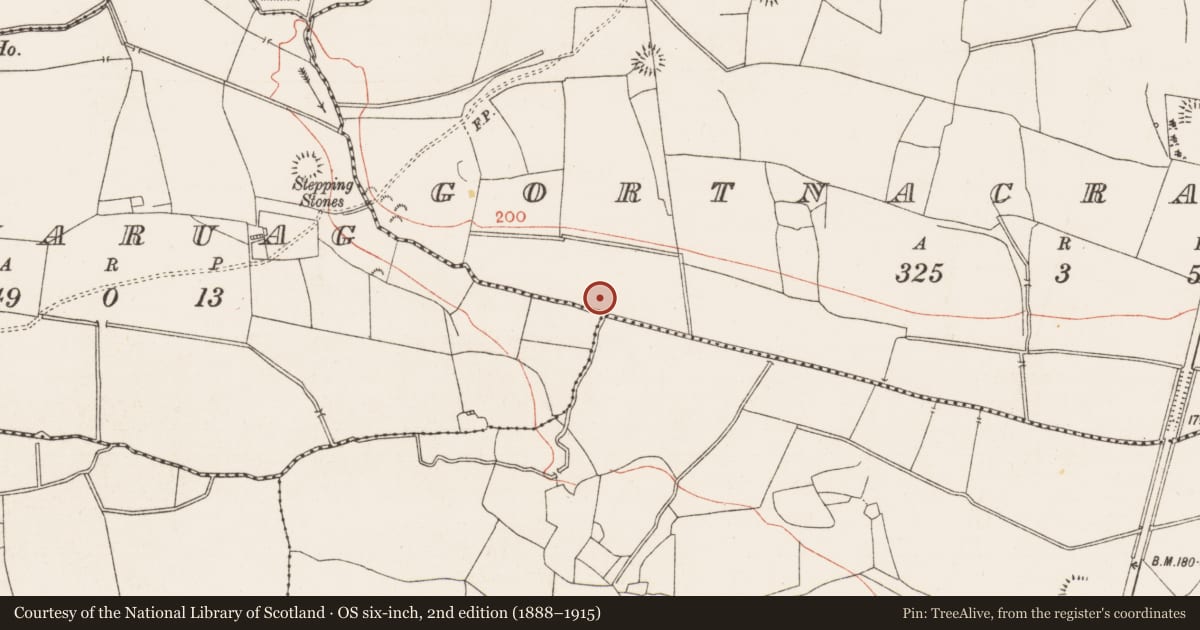 Ordnance Survey six-inch map, 2nd edition (1888–1915) covering the location of Fulacht fia, Gortnacrannagh, County Roscommon, with a pin at the register's coordinates