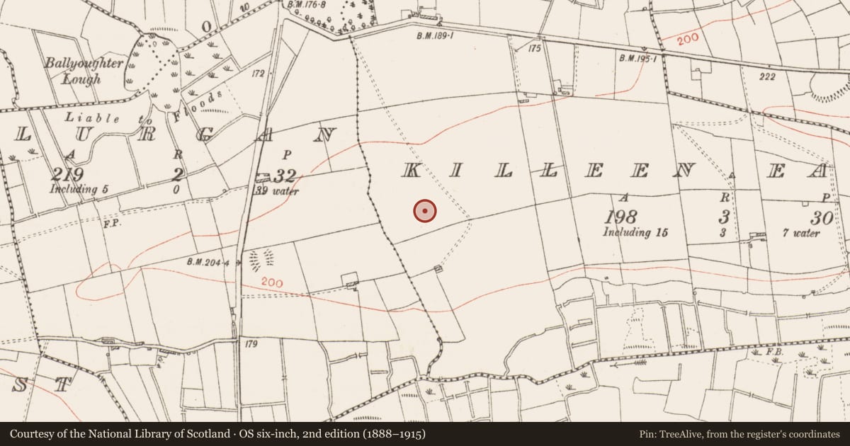 Ordnance Survey six-inch map, 2nd edition (1888–1915) covering the location of Enclosure, Killeen East, County Roscommon, with a pin at the register's coordinates