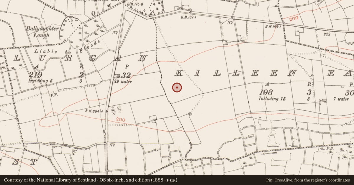 Ordnance Survey six-inch map, 2nd edition (1888–1915) covering the location of Pit, Killeen East, County Roscommon, with a pin at the register's coordinates
