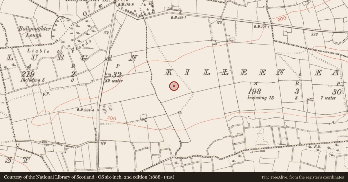 Ordnance Survey six-inch map, 2nd edition (1888–1915) covering the location of Excavation - miscellaneous, Killeen East, County Roscommon, with a pin at the register's coordinates