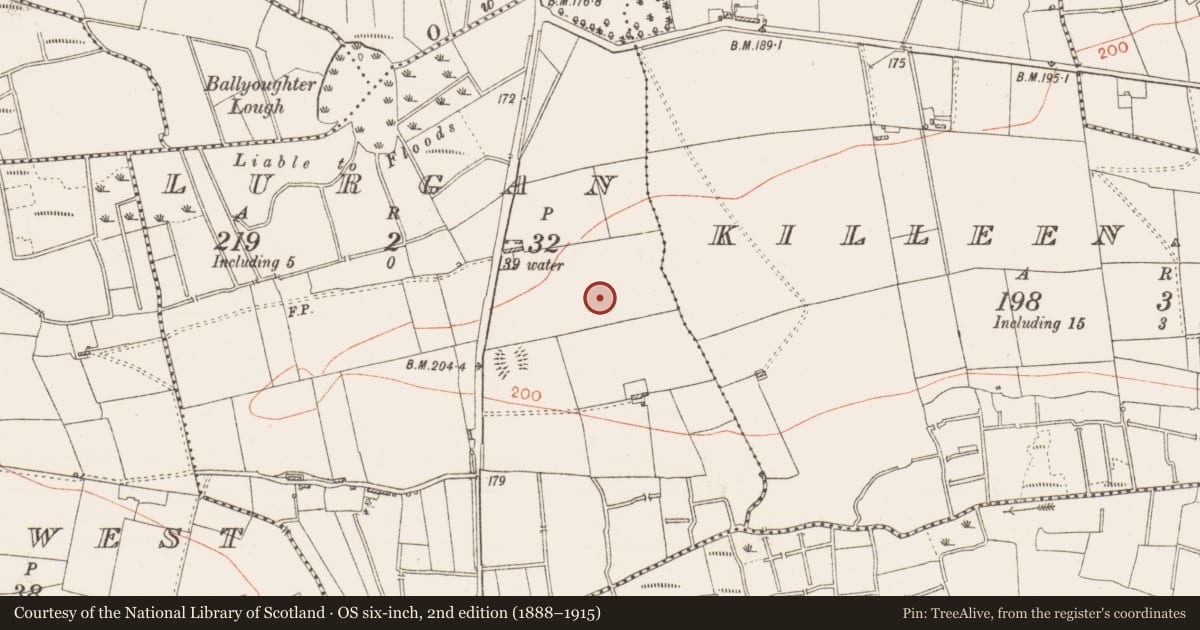 Ordnance Survey six-inch map, 2nd edition (1888–1915) covering the location of Ringfort - rath, Lurgan, County Roscommon, with a pin at the register's coordinates