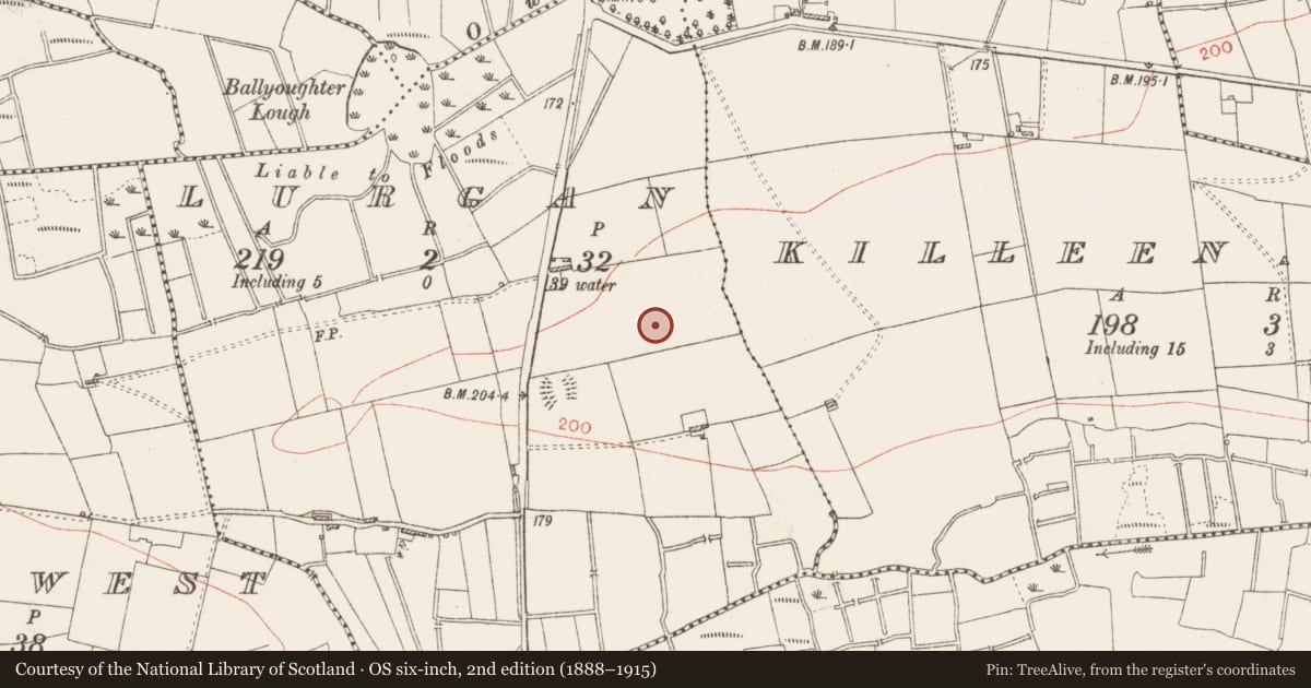 Ordnance Survey six-inch map, 2nd edition (1888–1915) covering the location of Souterrain, Lurgan, County Roscommon, with a pin at the register's coordinates