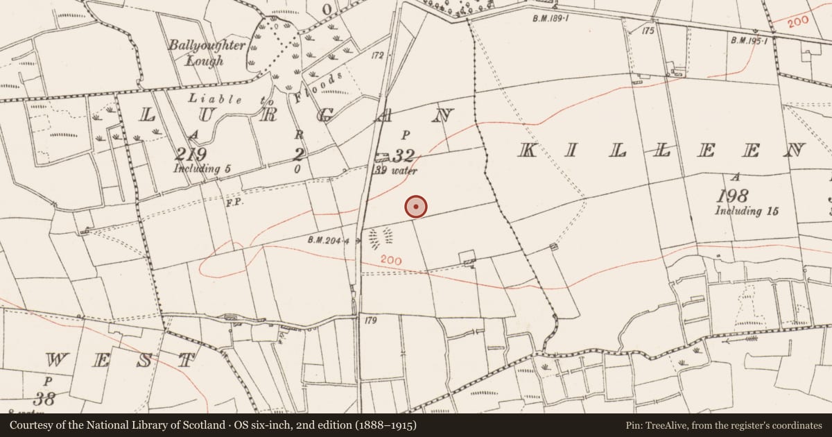 Ordnance Survey six-inch map, 2nd edition (1888–1915) covering the location of Kiln - corn-drying, Lurgan, County Roscommon, with a pin at the register's coordinates