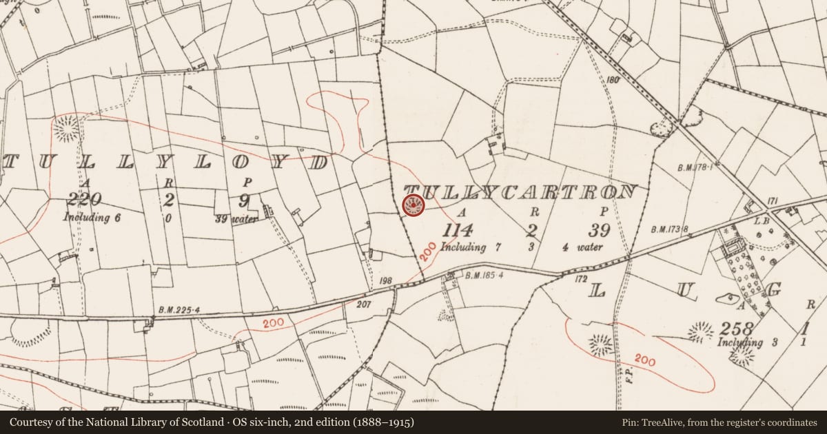 Ordnance Survey six-inch map, 2nd edition (1888–1915) covering the location of Ringfort - rath, Tullycartron, County Roscommon, with a pin at the register's coordinates