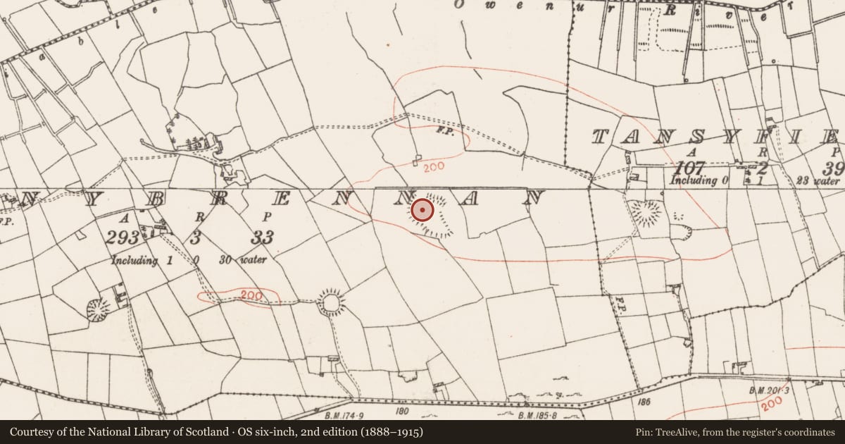 Ordnance Survey six-inch map, 2nd edition (1888–1915) covering the location of Enclosure, Cloonybrennan, County Roscommon, with a pin at the register's coordinates