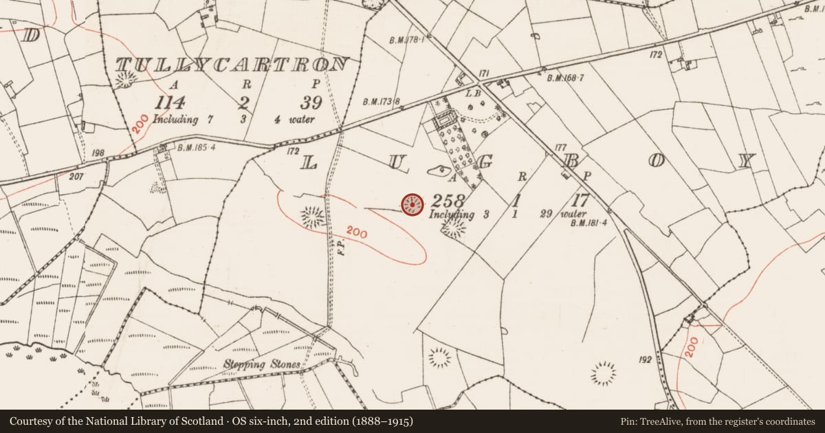 Ordnance Survey six-inch map, 2nd edition (1888–1915) covering the location of Ringfort - rath, Lugboy, County Roscommon, with a pin at the register's coordinates