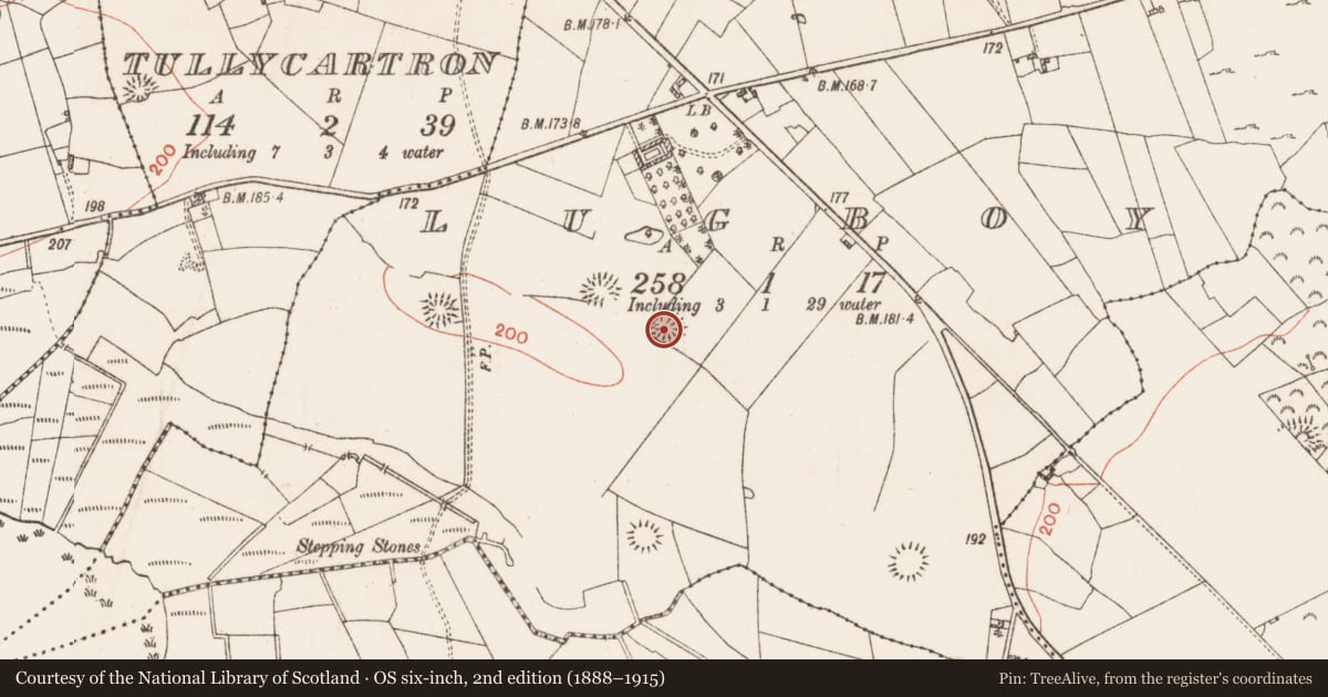Ordnance Survey six-inch map, 2nd edition (1888–1915) covering the location of Ringfort - rath, Lugboy, County Roscommon, with a pin at the register's coordinates