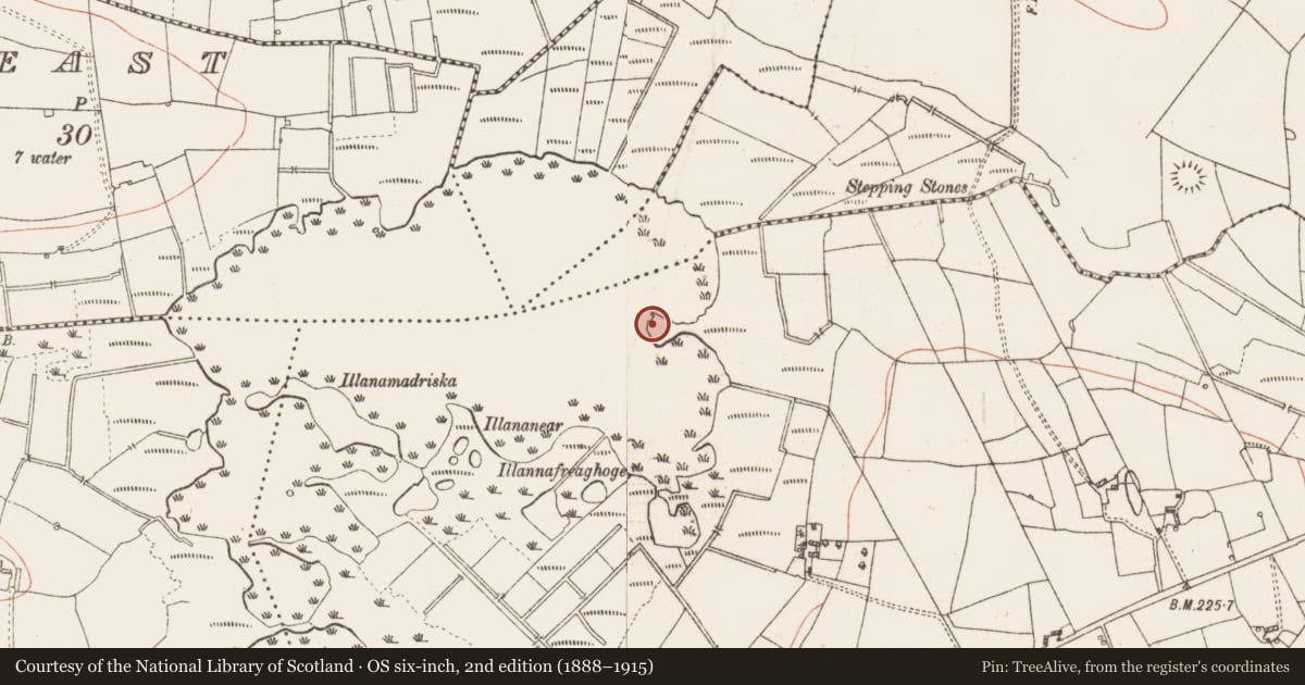 Ordnance Survey six-inch map, 2nd edition (1888–1915) covering the location of Crannog, Clooncullaan, County Roscommon, with a pin at the register's coordinates