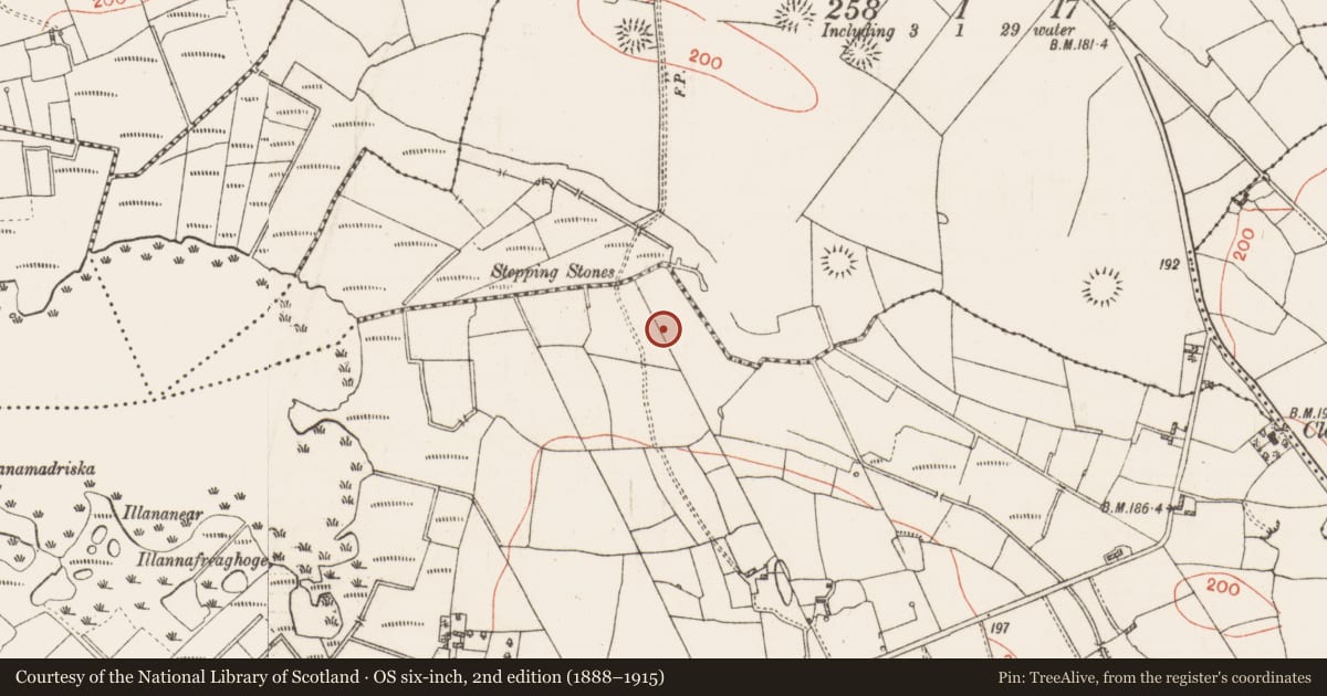 Ordnance Survey six-inch map, 2nd edition (1888–1915) covering the location of Ringfort - rath, Clooncullaan, County Roscommon, with a pin at the register's coordinates