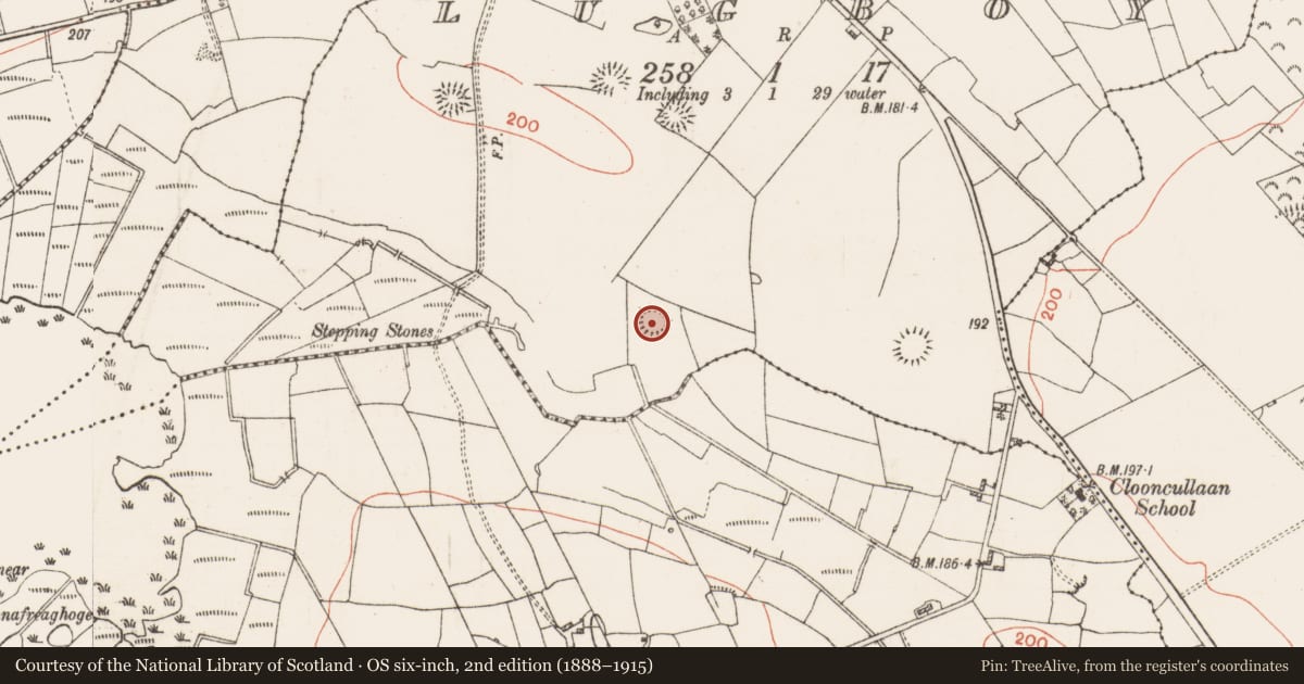 Ordnance Survey six-inch map, 2nd edition (1888–1915) covering the location of Ringfort - rath, Lugboy, County Roscommon, with a pin at the register's coordinates