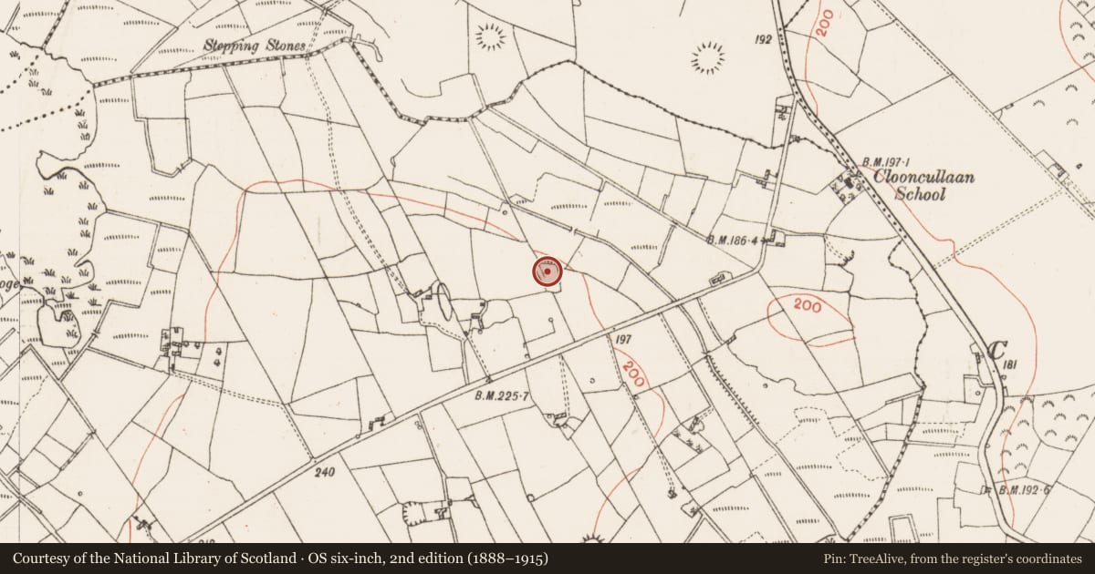 Ordnance Survey six-inch map, 2nd edition (1888–1915) covering the location of Enclosure, Clooncullaan, County Roscommon, with a pin at the register's coordinates