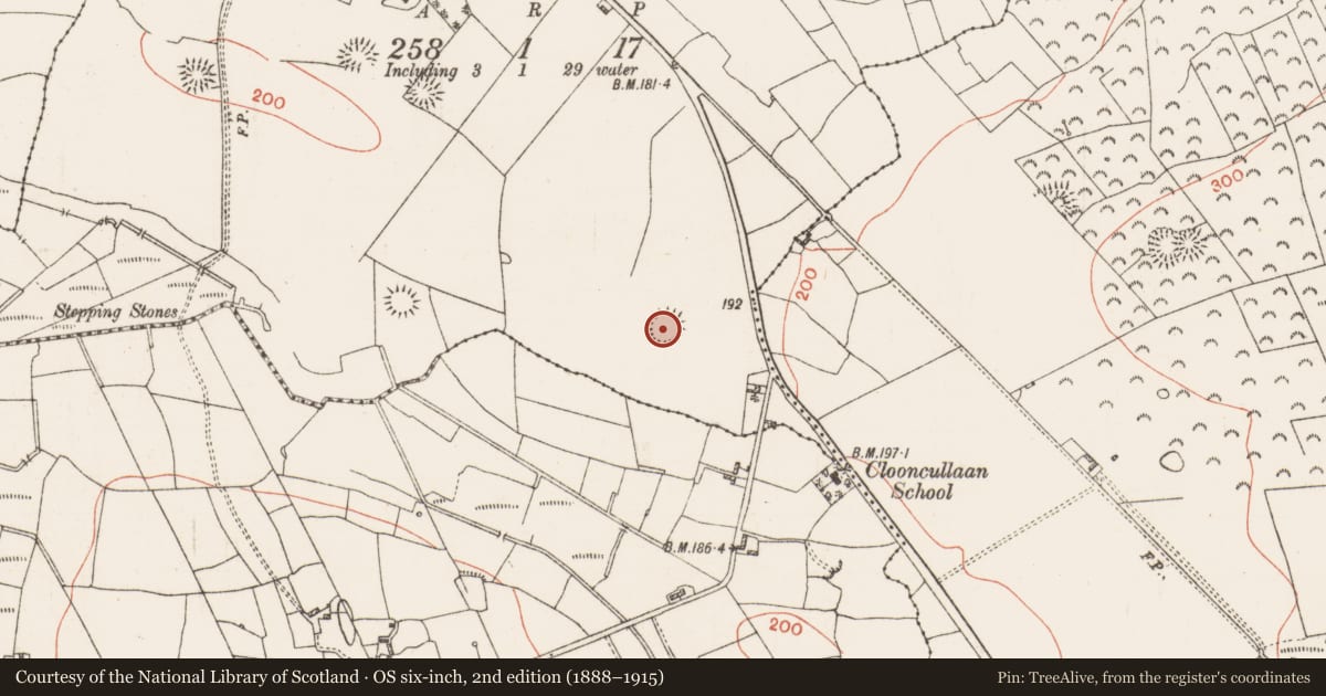 Ordnance Survey six-inch map, 2nd edition (1888–1915) covering the location of Ringfort - rath, Lugboy, County Roscommon, with a pin at the register's coordinates