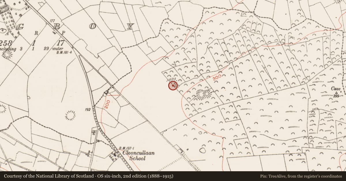 Ordnance Survey six-inch map, 2nd edition (1888–1915) covering the location of Ringfort - rath, Cregga, County Roscommon, with a pin at the register's coordinates