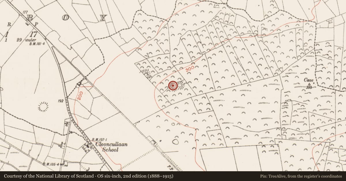 Ordnance Survey six-inch map, 2nd edition (1888–1915) covering the location of Ringfort - rath, Cregga, County Roscommon, with a pin at the register's coordinates