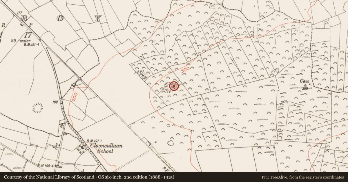Ordnance Survey six-inch map, 2nd edition (1888–1915) covering the location of Ringfort - rath, Cregga, County Roscommon, with a pin at the register's coordinates