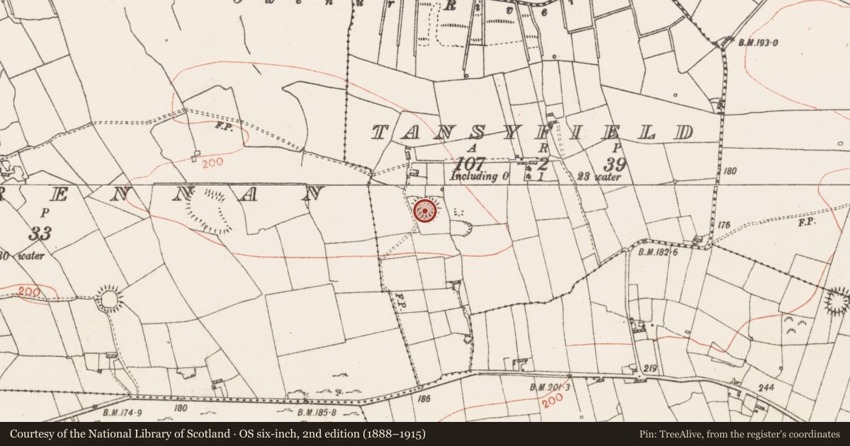 Ordnance Survey six-inch map, 2nd edition (1888–1915) covering the location of Ringfort - rath, Tansyfield, County Roscommon, with a pin at the register's coordinates