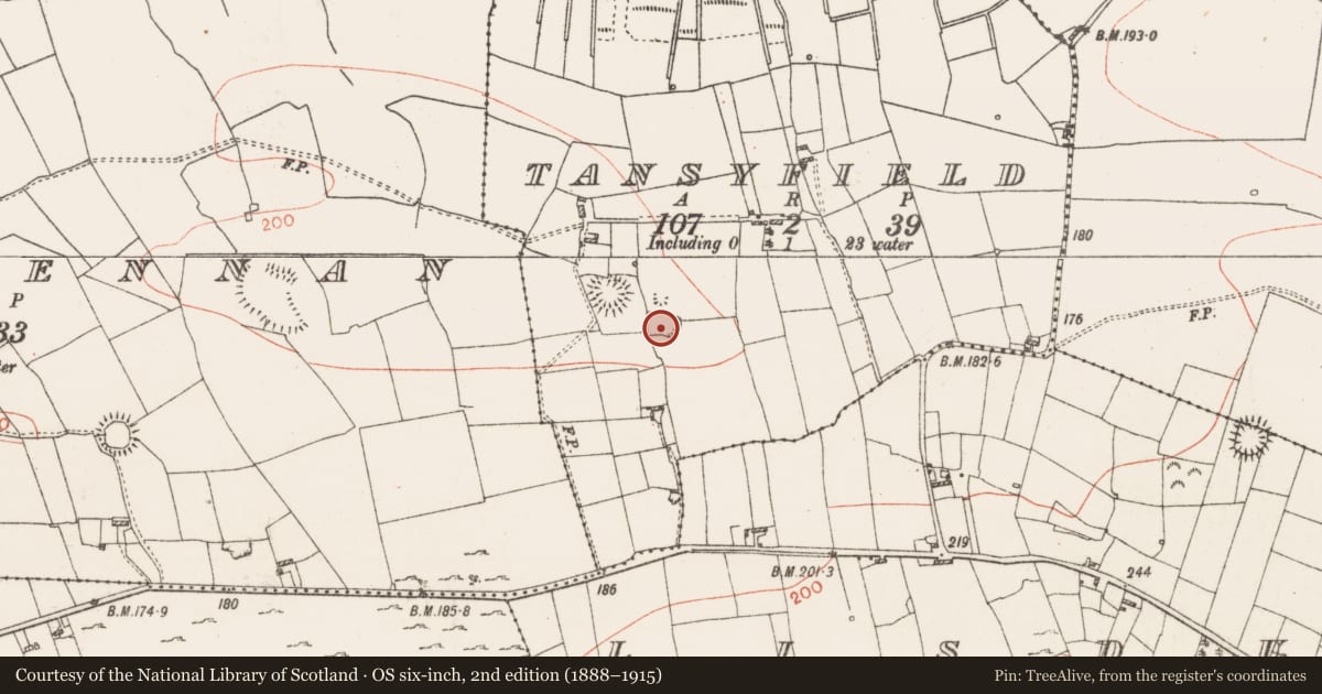 Ordnance Survey six-inch map, 2nd edition (1888–1915) covering the location of Ringfort - rath, Tansyfield, County Roscommon, with a pin at the register's coordinates